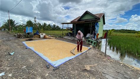 Jelang Lima Tahun Pemukiman Transmigrasi Sp Tanjung Buka Bulungan