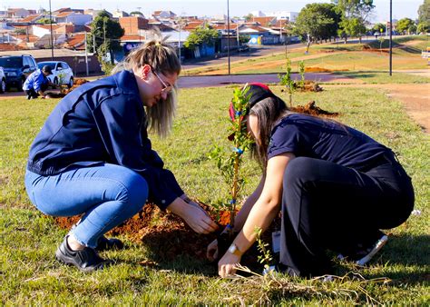 No Dia Mundial Do Meio Ambiente Santa B Rbara Realiza Plantio De