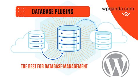 The Best Wordpress Database Plugins Wordpress Q And A