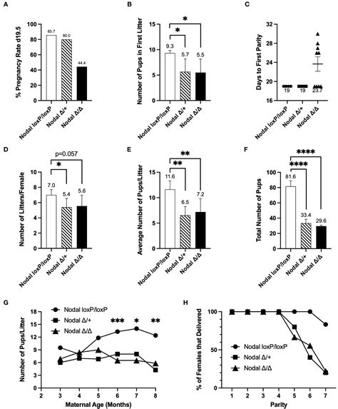 Frontiers Uterine Nodal Expression Supports Maternal Immunotolerance