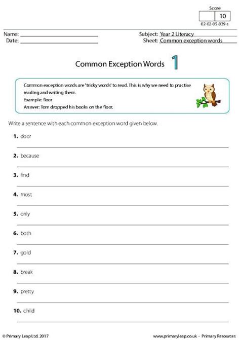 Literacy Common Exception Words Worksheet