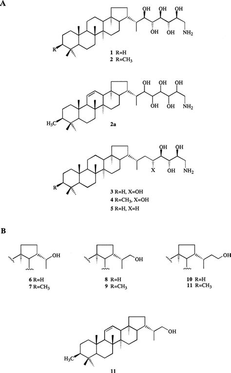 Hopanoids from methanotrophic bacteria. A: Isolated from Methylocaldum ...