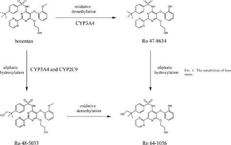 Figure From Bosentan Is A Substrate Of Human Oatp B And Oatp B