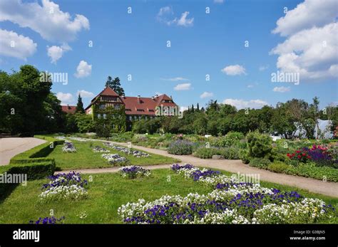 The Berlin Dahlem Botanical Garden Botanischer Garten Stock Photo Alamy