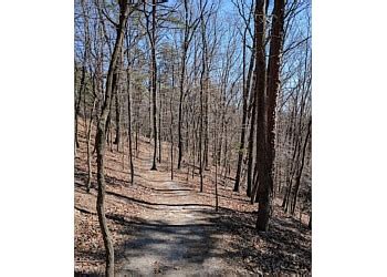 3 Best Hiking Trails in Roanoke, VA - Expert Recommendations