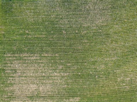 premium photo full frame shot  rough textile