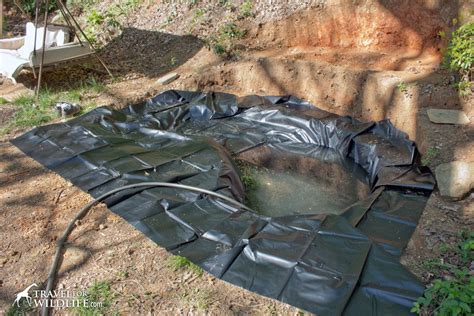 How To Build A Wildlife Pond Step By Step Guide Travel For Wildlife