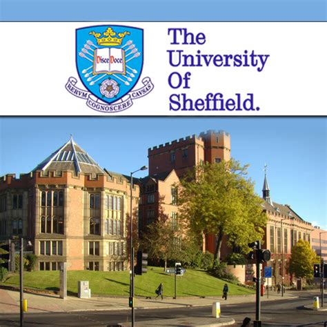 University of Sheffield – HR Pakistan