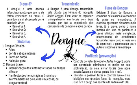 Mapa Mental Sobre Dengue Biologia