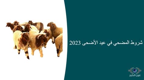 شروط المضحي في عيد الأضحى 2023 عين الخبر