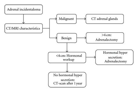 Suggested Flowchart For Evaluation Of An Incidentally Discovered Download Scientific Diagram