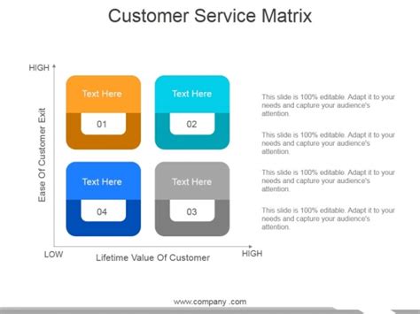 Customer Service Matrix Ppt Powerpoint Presentation Gallery Icon