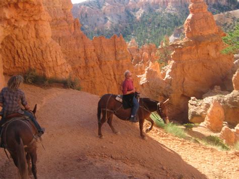 Westward Bound: Day 8 - Bryce Canyon, Horseback riding