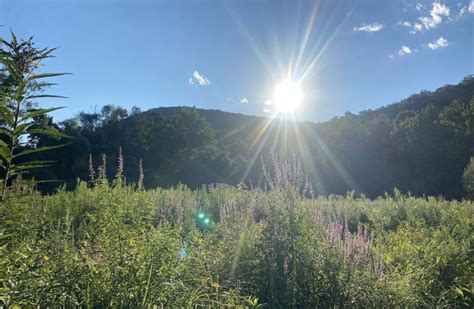 The Pratt Nature Center New Milford Colony