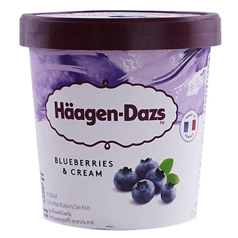 Buy Haagen Dazs Ice Cream Blueberries Cream 473 Ml Tub Online At The