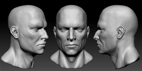 Zbrush Head Head Anatomy Zbrush Sculpting