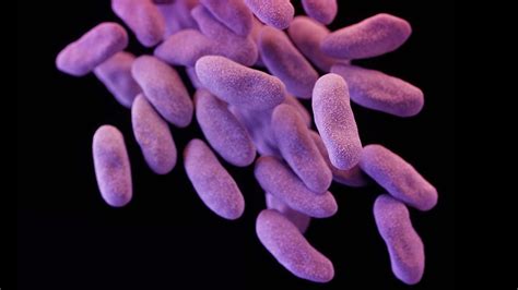 New Antibiotic Resistant Superbug An Emerging Threat Cdc Says