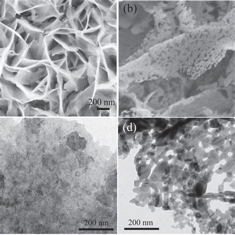 Sem Images Of A Pristine Co O Nanosheets And B N Co O Nanosheets