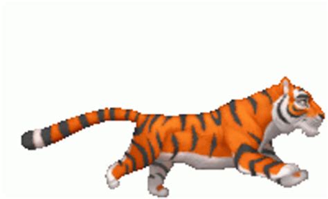 Tiger Sticker Tiger Discover Share Gifs