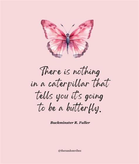 50 Butterfly Quotes To Inspire Transformation The Random Vibez