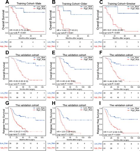 Validation Of The OS And RFS Predictive Performance Of The Risk Score