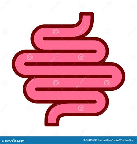 Human colon vector cartoon stock vector. Illustration of anatomy ...