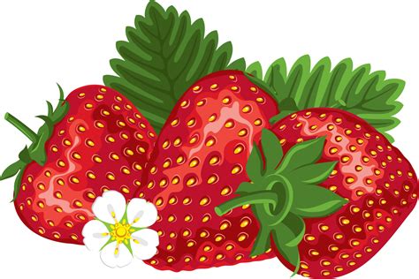 Strawberry Png Vector