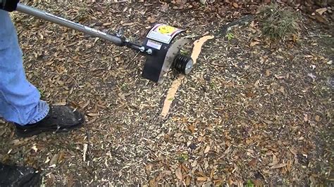 How To Safely Cut Tree Roots at Ann Broman blog