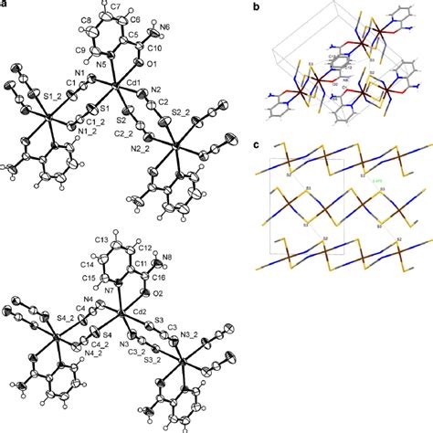 A ORTEP3 Drawing Of The Two Crystallographically Independent Chains