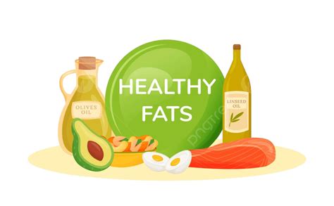 Foods Containing Healthy Fats Cartoon Vector Illustration Food ...