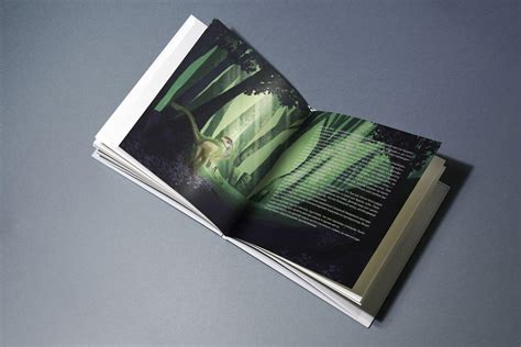 Dino Book on Behance