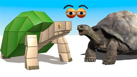 Cube Builder For Kids Hd Build A Turtle Tortoise For Children