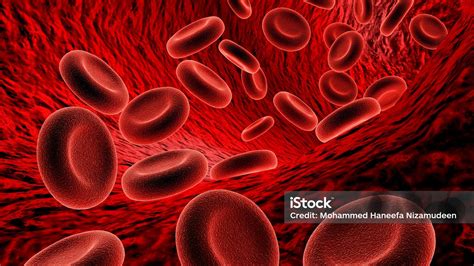 Introduction To Anemia And It S Classification Symptoms Signs Pune