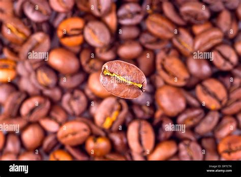 Coffee Bean On Blurred Beans Background Stock Photo Alamy