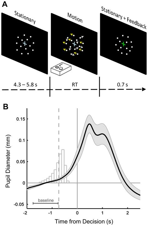 Random Dot Motion Task A Schematic Of A Single Trial Of The Random Download Scientific