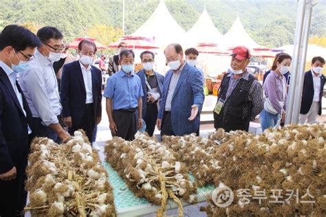 단양마늘 직거래행사 성료 1억원 상당 판매성과 중부포커스