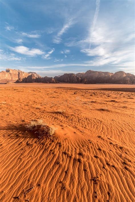 Alba Nel Deserto Di Wadi Rum Giordania Immagine Stock Immagine Di