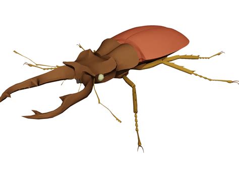 Beetle 3d Model 3dcadbrowser