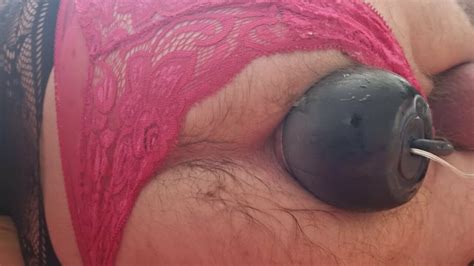 Inflar Plug Anal XHamster BR