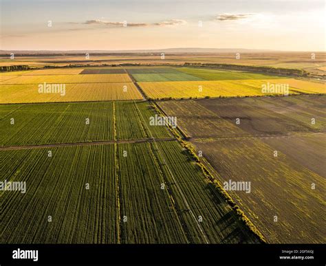 Aerial View Of Vast Agricultural Farm Fields At Summer Sunset Stock