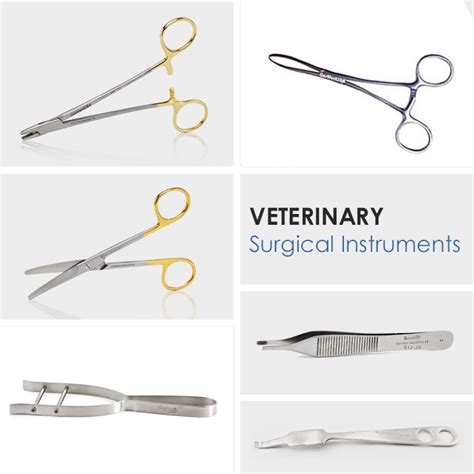 Best Veterinary Surgical Instruments For Veterinary Surgeons Foolic