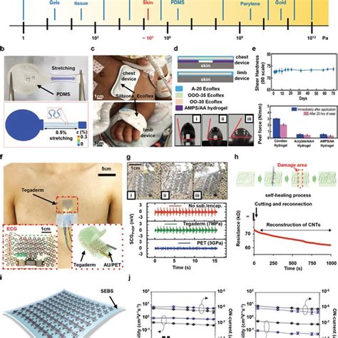 Encapsulation For Stretchable Implantable Bioelectronics A Schematic Download Scientific