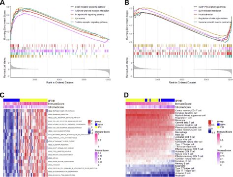 Gene Set Enrichment Analysis Gsea Gene Set Variation Analysis