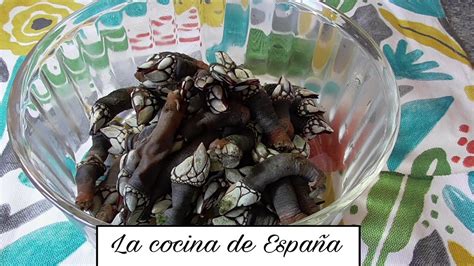 Como Cocer Percebes Frescos Youtube