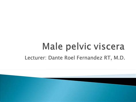 Male Pelvic Viscera Ppt