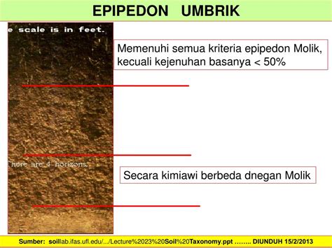 Ppt Morfologi Tanah Dan Klasifikasi Tanah Powerpoint Presentation