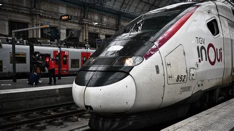 CHAT COUPÉ EN DEUX PAR UN TGV LE PARQUET REQUIERT LA RELAXE POUR LA