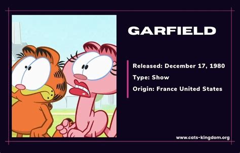 Meet Arlene The Whiskered Wonder From Garfield