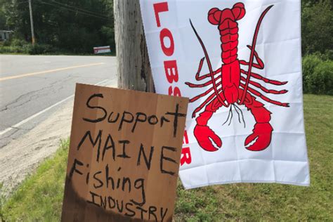 Court Victory Buoys Maine Lobstering Unions Fight To Save Fishing