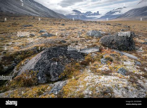 Cloudy Day In The Wild Remote Arctic Valley Of Akshayuk Pass Baffin